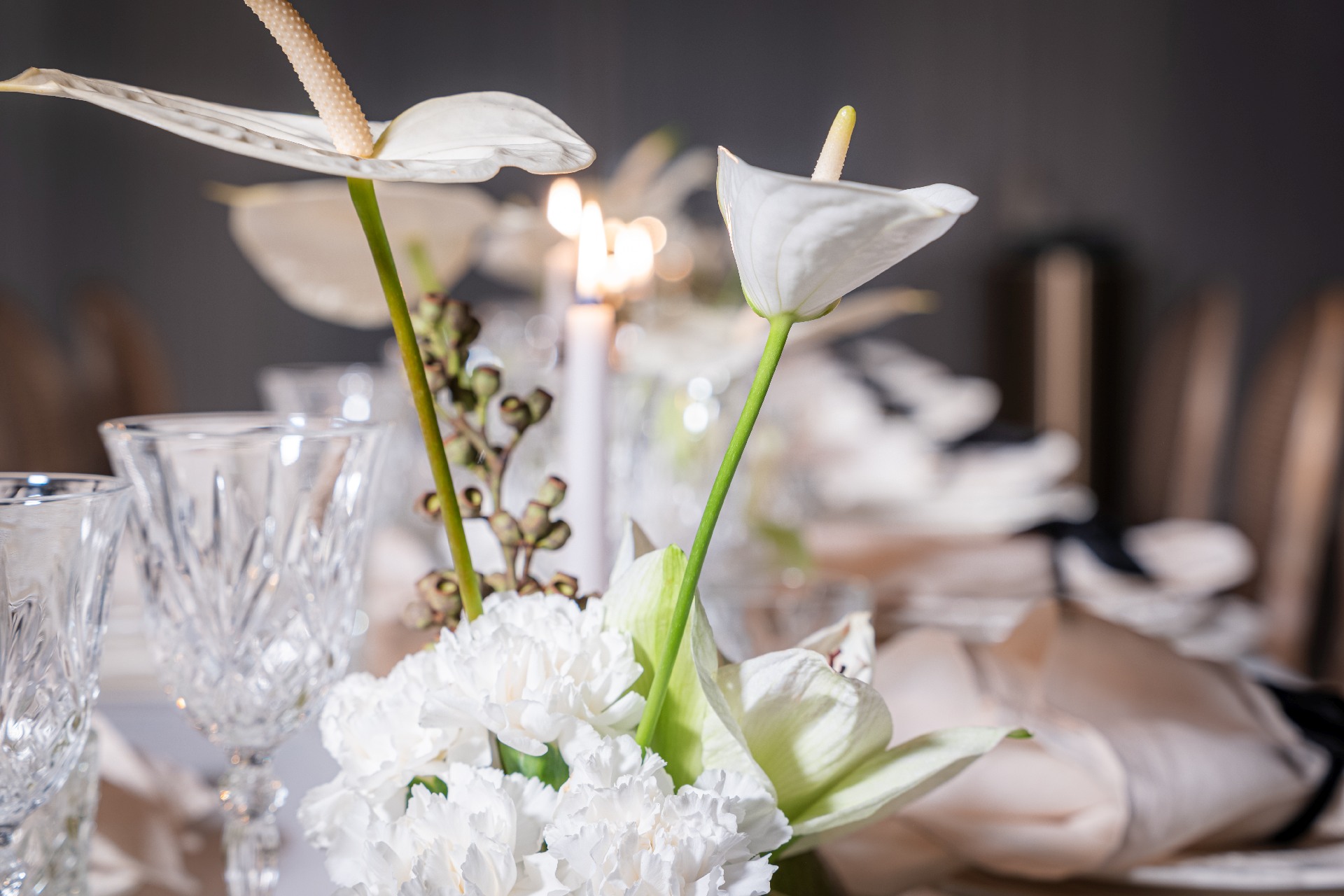 Styled Shoot White X PearGreen - Modern Chic